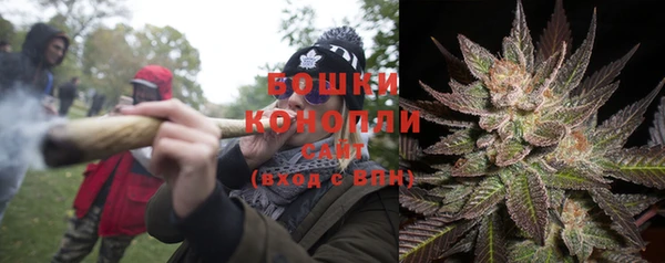 дурь Нягань