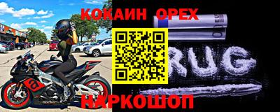 тгк Кингисепп