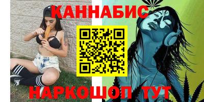 тгк Кингисепп