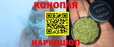 тгк Кингисепп
