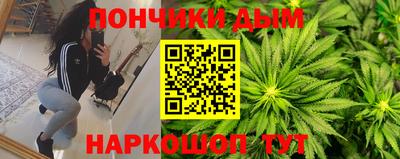 тгк Кингисепп