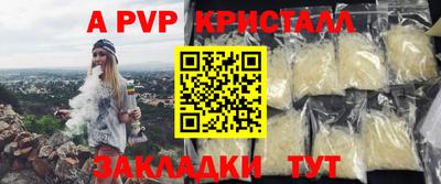 тгк Кингисепп