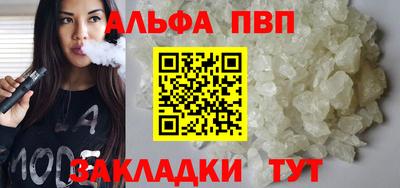 тгк Кингисепп