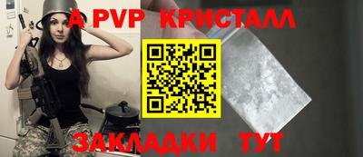 тгк Кингисепп